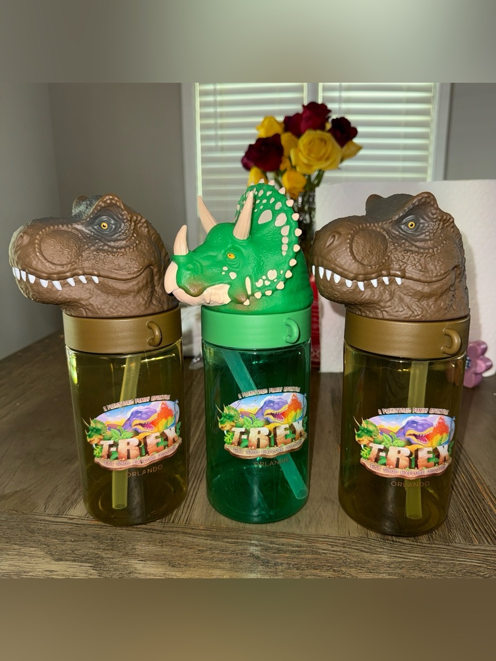 Dinosaur water bottles